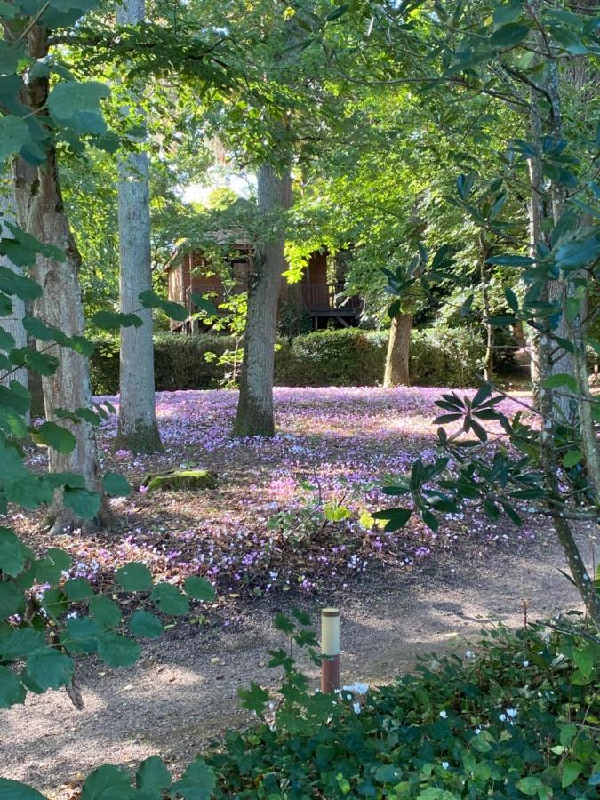Manoir Du Parc (adults Only) Gasthof Amboise