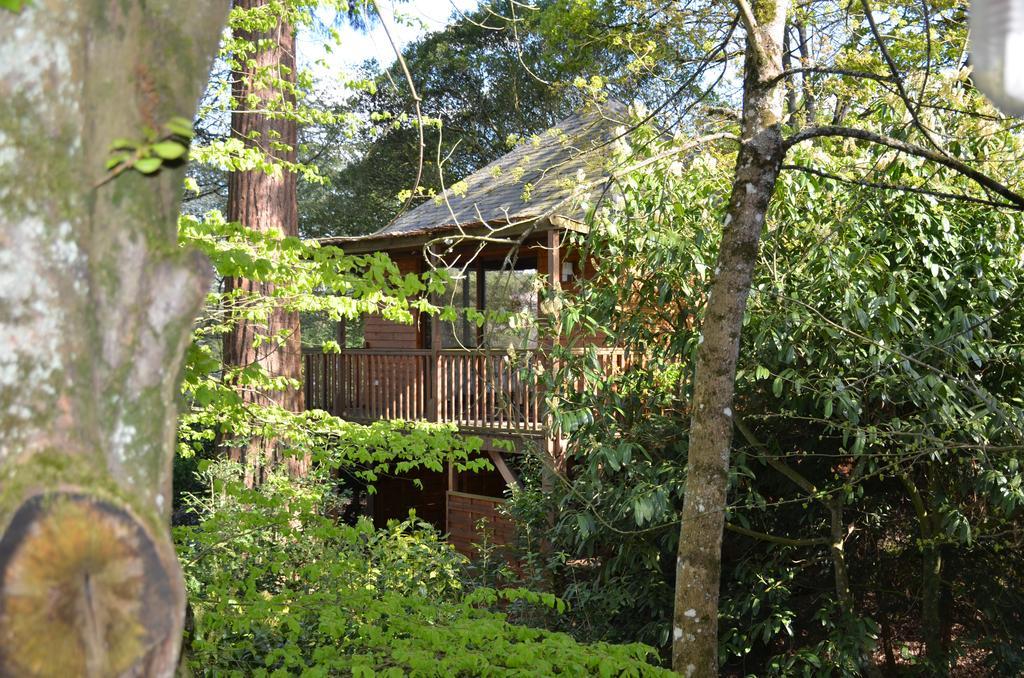 Gasthof Manoir Du Parc (adults Only) 4*