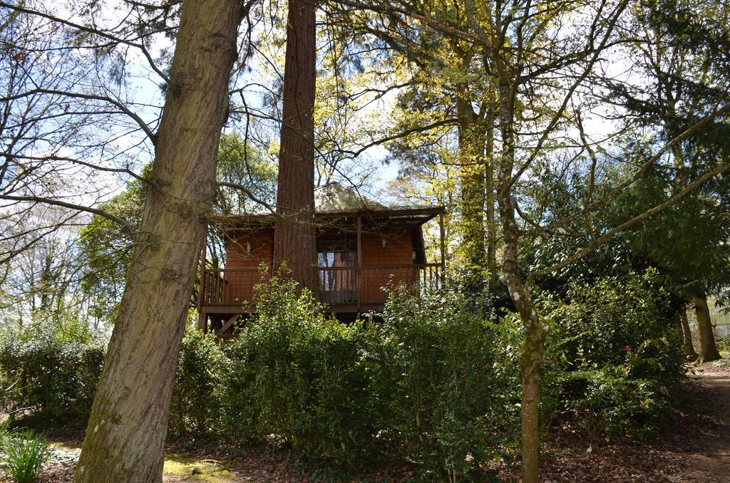 Manoir Du Parc (adults Only) Amboise